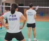 排球落地损伤翻译足球球员榜资讯游泳分析快讯潘展乐自由泳分析